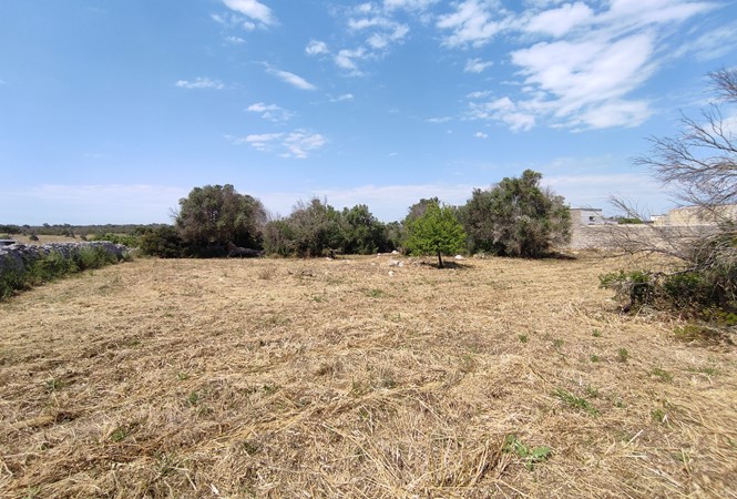 Galatone - Via Tunisi